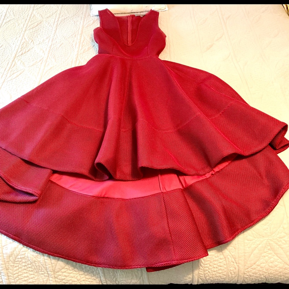 Issue New York- Honeycomb Mesh A-Line Dress